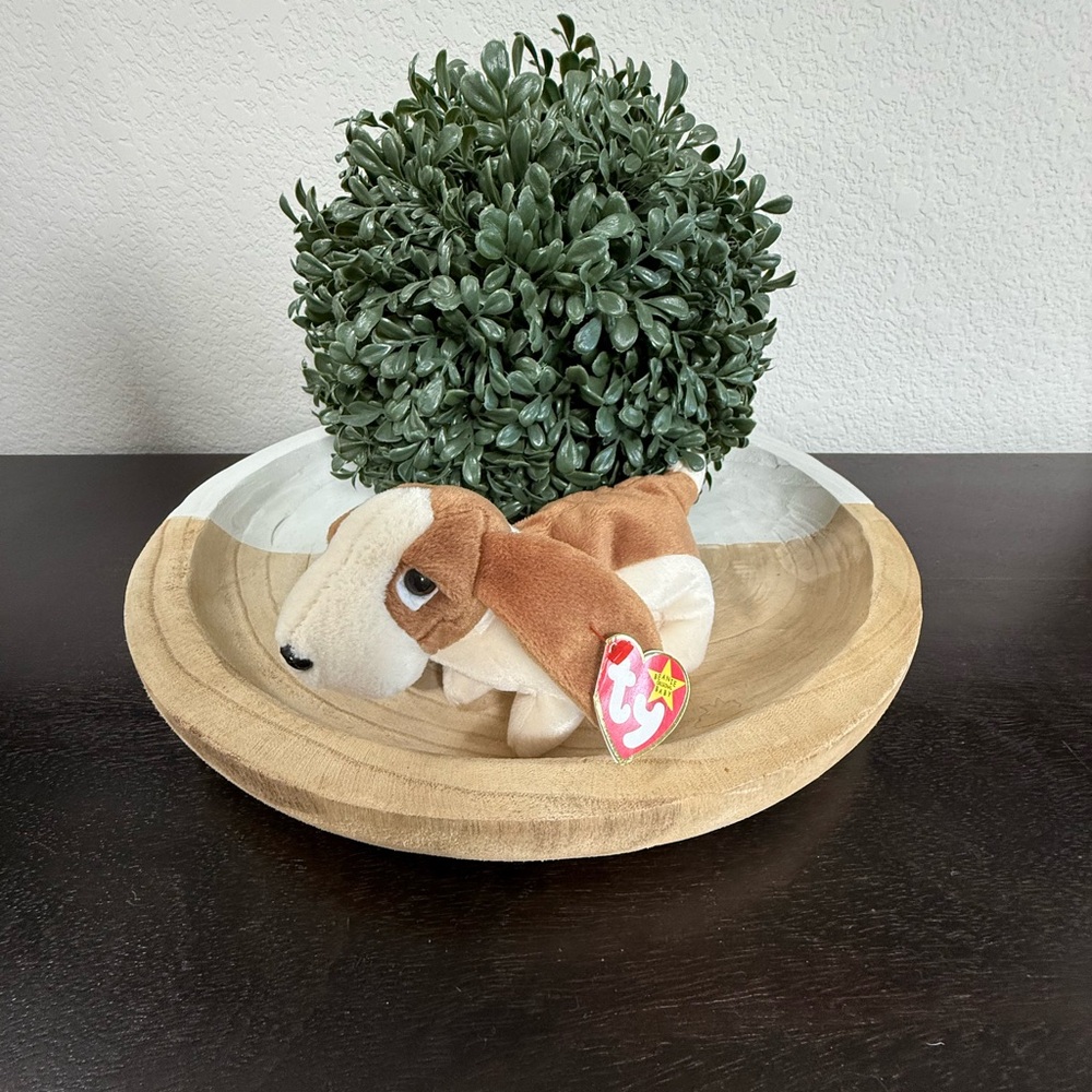 Ty Beanie Baby named Tracker